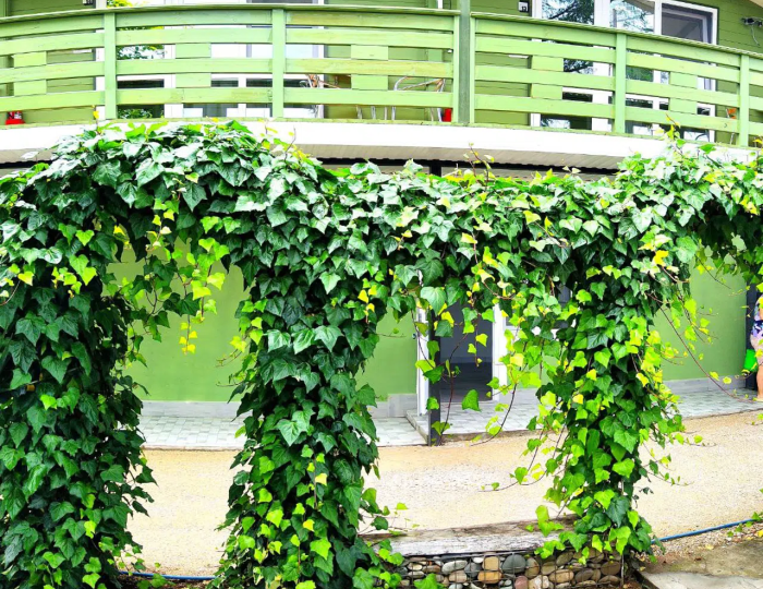 Гостиничный комплекс Kulikov House / Куликов Хаус Цандрипш